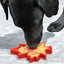 Canadian Maple Leaf Nylon Dog Chew Toy - Indestructible & USA Made Nylon Dog Toys SodaPup/True Dogs, LLC