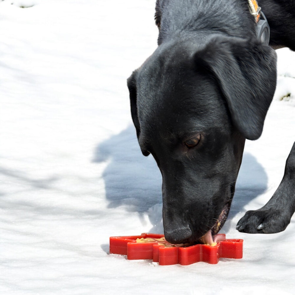 Canadian Maple Leaf Nylon Dog Chew Toy - Indestructible & USA Made Nylon Dog Toys SodaPup/True Dogs, LLC