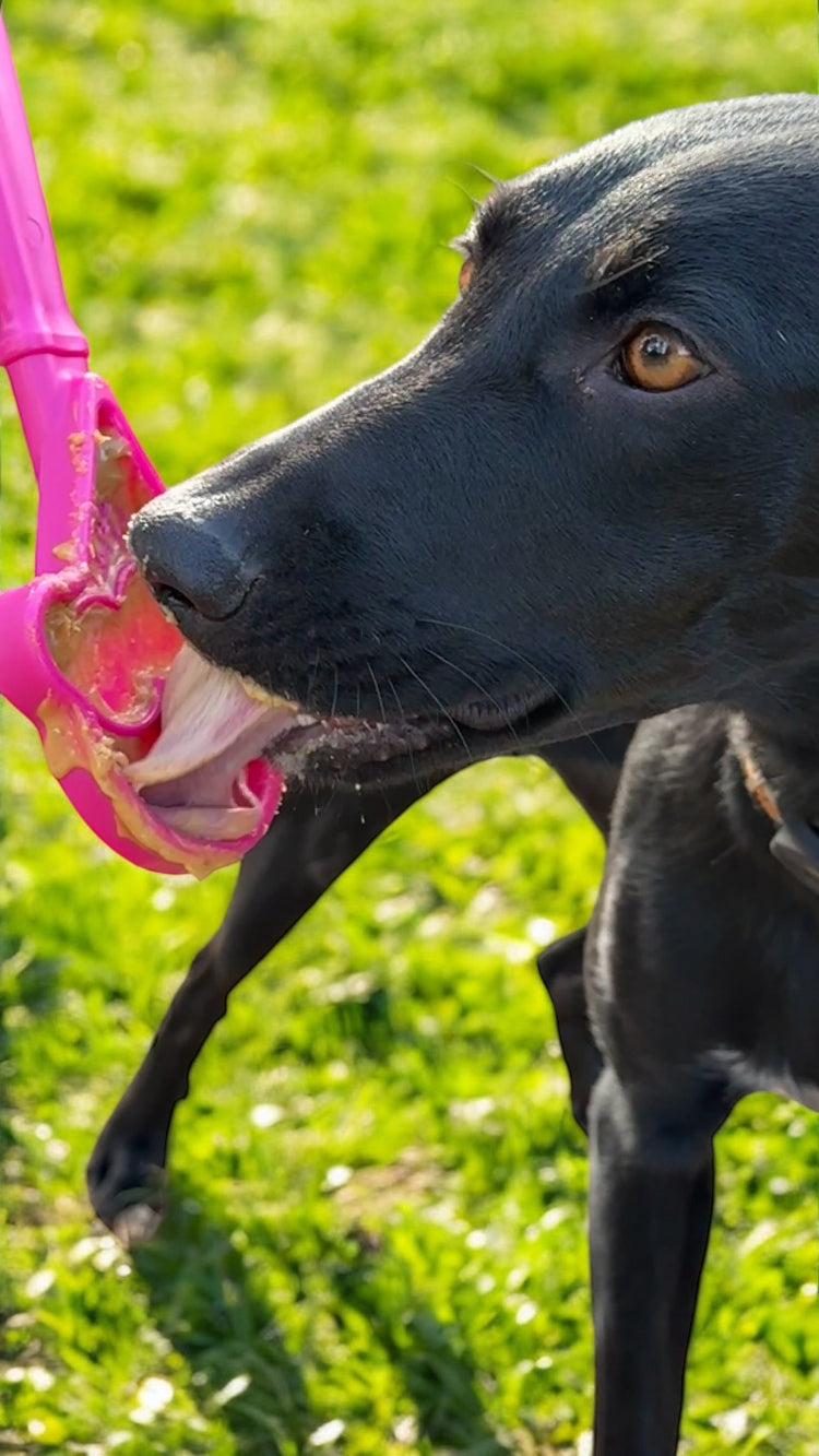 eStick Hand-Held Dog Enrichment Toy - Interactive Lick Stick | USA Made EMAT SodaPup/True Dogs, LLC