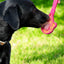 eStick Hand-Held Dog Enrichment Toy - Interactive Lick Stick | USA Made EMAT SodaPup/True Dogs, LLC