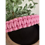 Cobra Braid in Pink & White Stripes - Handmade Dog Collar Handmade Braided Collars Pawsh Pup Co.