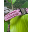 Cobra Braid in Pink & White Stripes - Handmade Dog Collar Handmade Braided Collars Pawsh Pup Co.