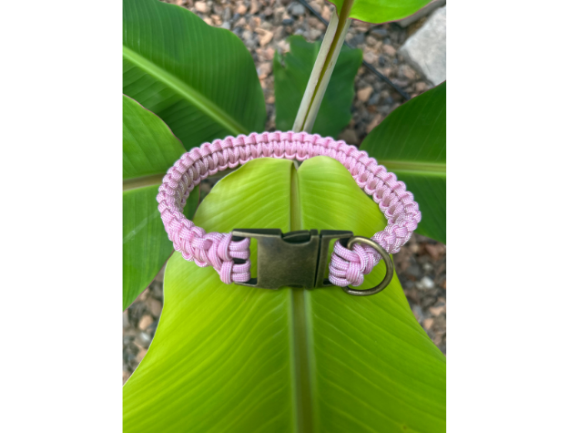 Cobra Braid in Pink & White Stripes - Handmade Dog Collar Handmade Braided Collars Pawsh Pup Co.