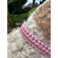 Cobra Braid in Pink & White Stripes - Handmade Dog Collar Handmade Braided Collars Pawsh Pup Co.