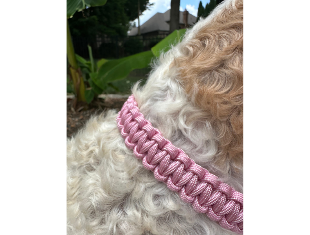 Cobra Braid in Pink & White Stripes - Handmade Dog Collar Handmade Braided Collars Pawsh Pup Co.