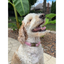 Cobra Braid in Pink & White Stripes - Handmade Dog Collar Handmade Braided Collars Pawsh Pup Co.