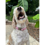 Cobra Braid in Pink & White Stripes - Handmade Dog Collar Handmade Braided Collars Pawsh Pup Co.