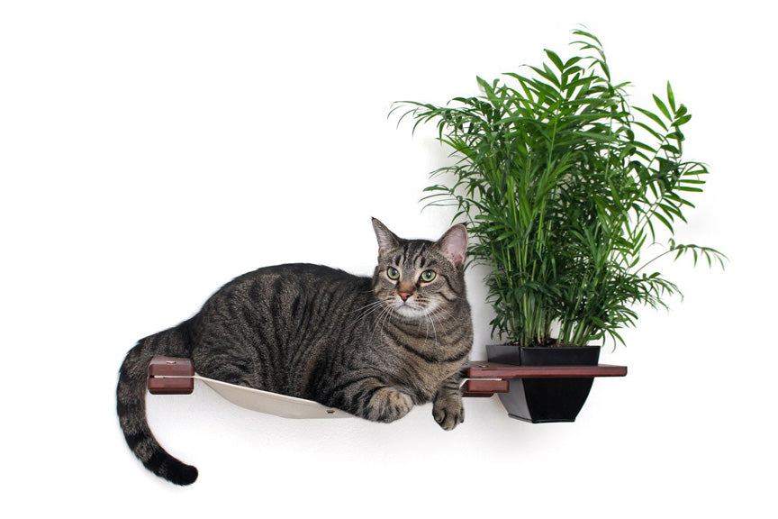 Cat Hammock Wall with Planter Cat Hammock Catastrophic Creations
