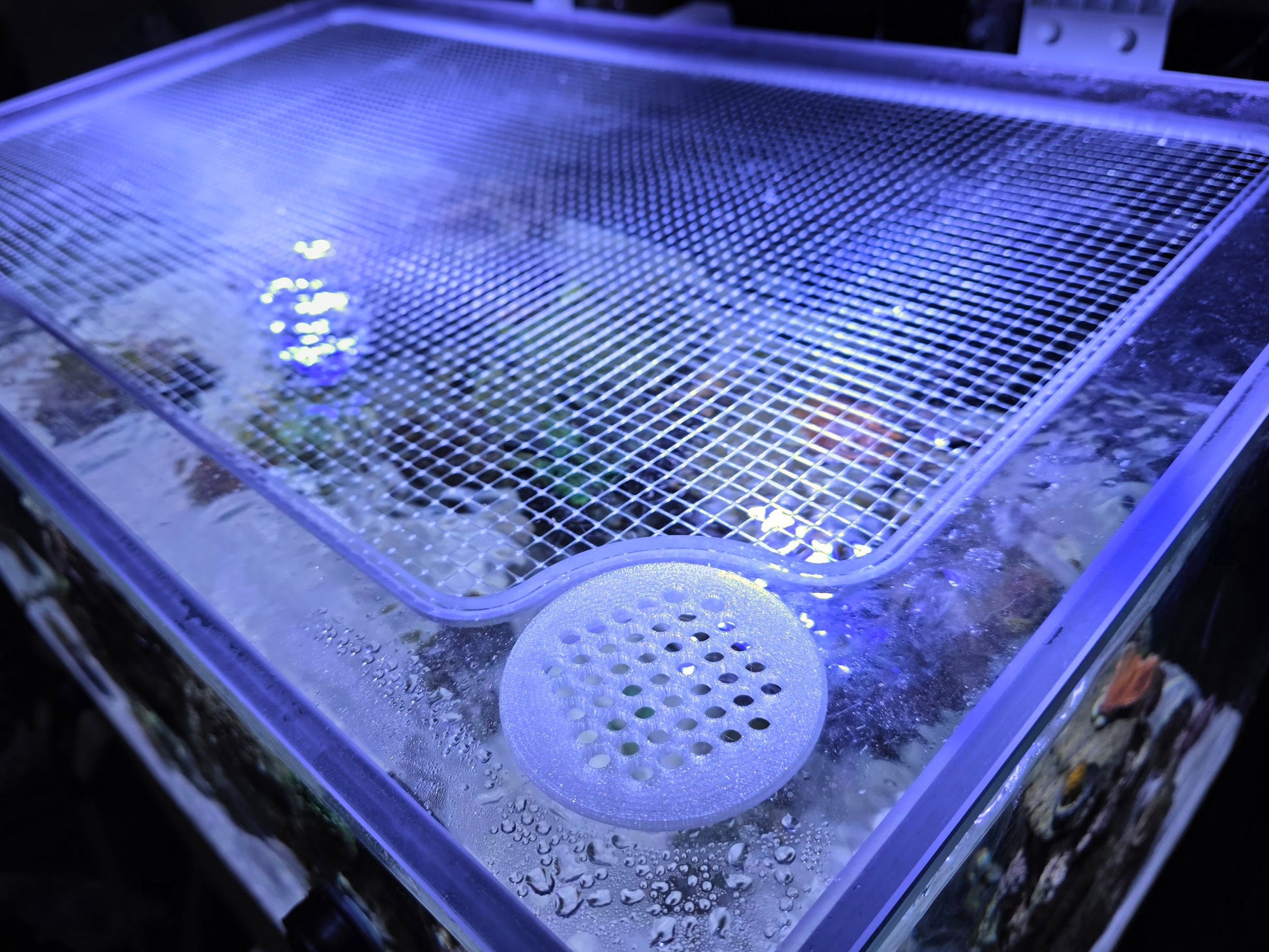 Reef Ready 50-Gallon AIO System Yes with lid Saltwater Tank Aquarium Sea Cardinal