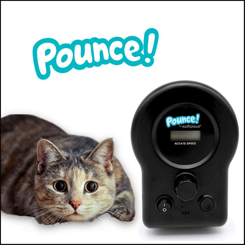 Pounce! Kit Enrichment Product SwiftPaws