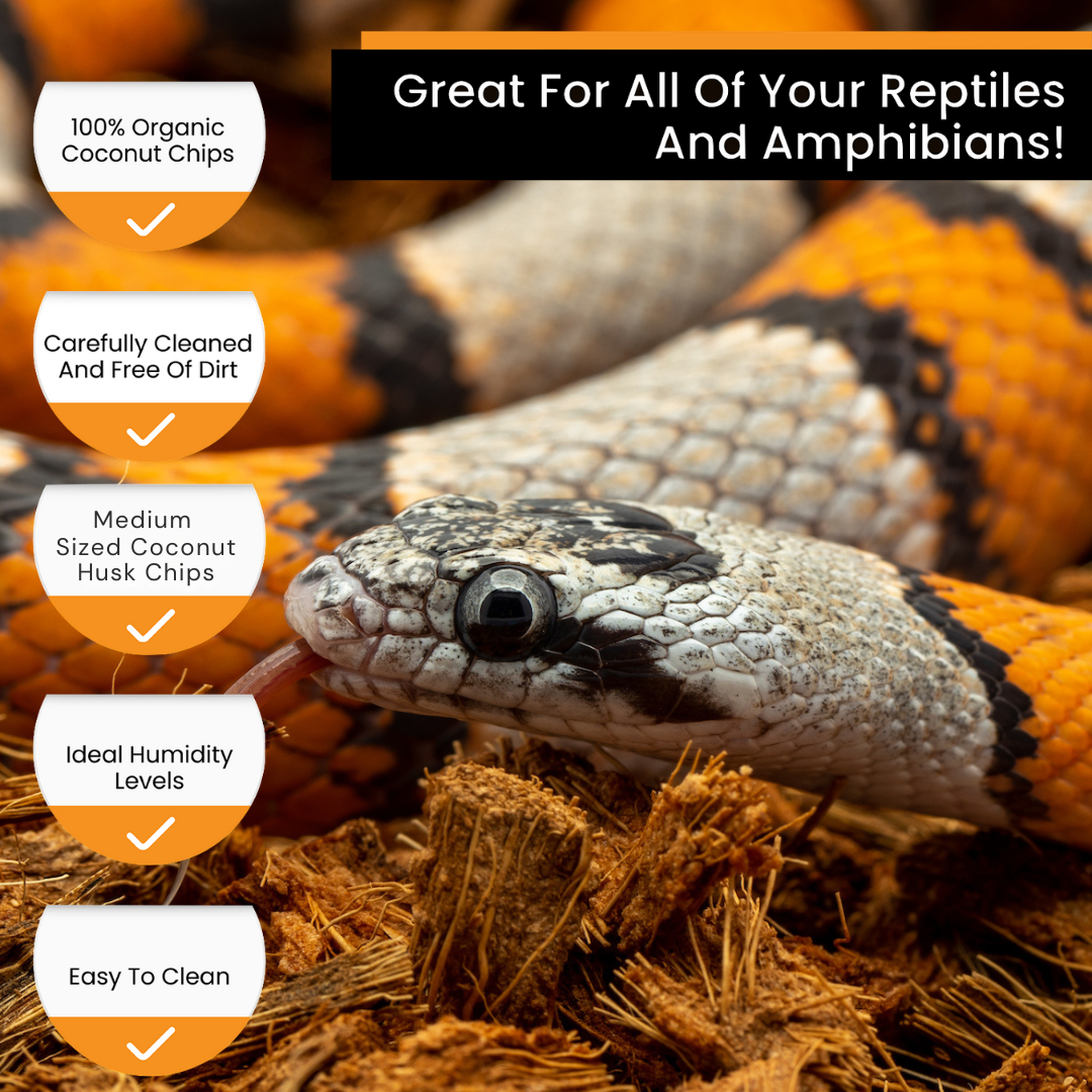 RediChip Premium Medium Sized Coconut Chips; Ready to Use Substrate ReptiChip LLC