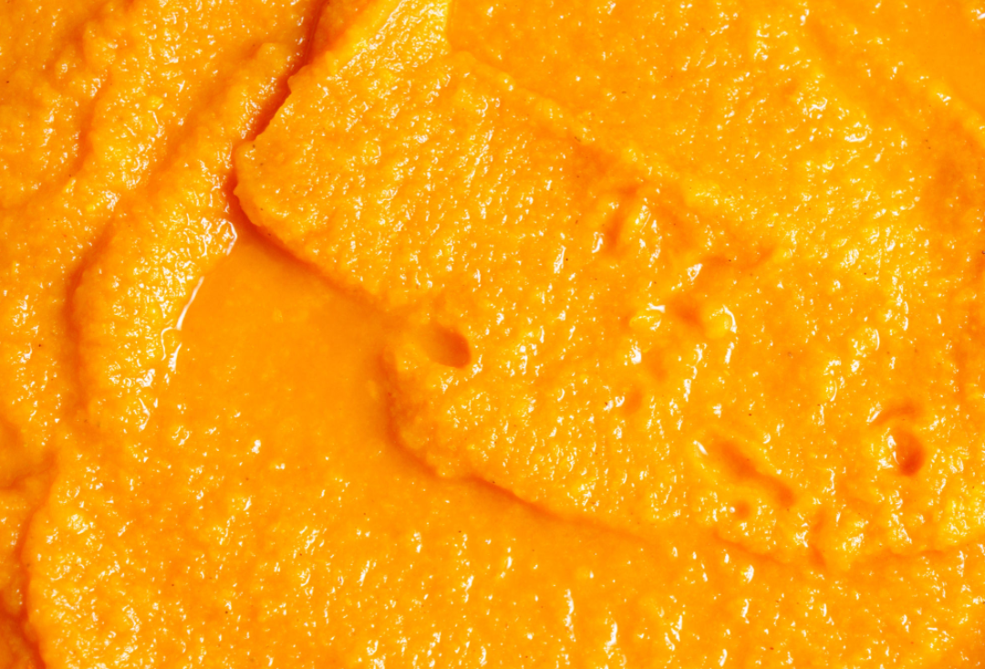 Pumpkin Flavored Yak Cheese Chew - made with REAL PUMPKIN Puree - Single Yak Chew Chief’s Treats and Pet Supplies