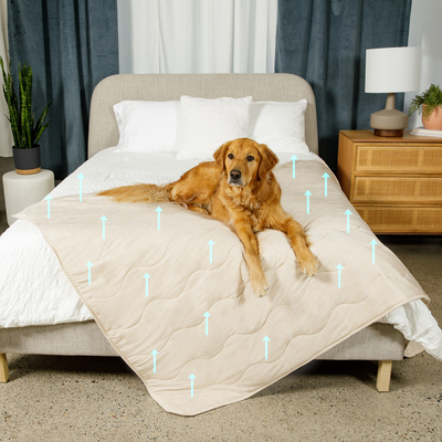 PupChill™ Cooling Waterproof Blanket - Arctic Sand Dog Blanket Paw