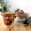Puppy Cakes - Puppy Scoops Ice Cream Mix Carob Dog Treats Puppy Cakes