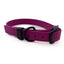 Magenta Biothane Collar by Chief Treats Dog Collar Chief’s Treats and Pet Supplies