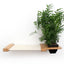 Cat Hammock Wall with Planter Natural Bamboo Natural Canvas 16" Cat Hammock Catastrophic Creations