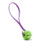 Rubber Spiral Ball with Biothane Handle 2" Green Amethyst Purple Dog Toys Dogline
