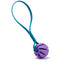 Rubber Spiral Ball with Biothane Handle 2" Purple Blue Aqua Dog Toys Dogline