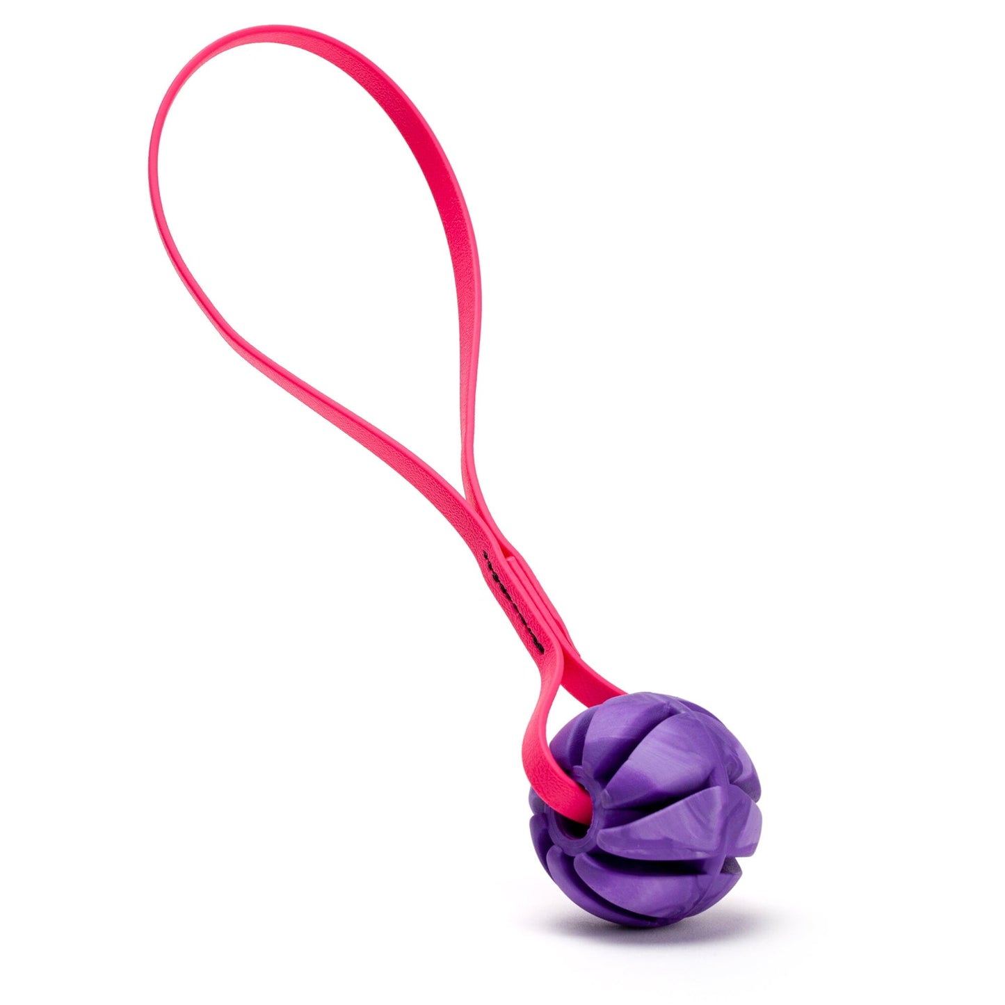 Rubber Spiral Ball with Biothane Handle 2" Purple Passionfruit Pink Dog Toys Dogline