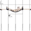 Double Cat Hammock and Climbing Bridge Combo Cat Bridge Catastrophic Creations