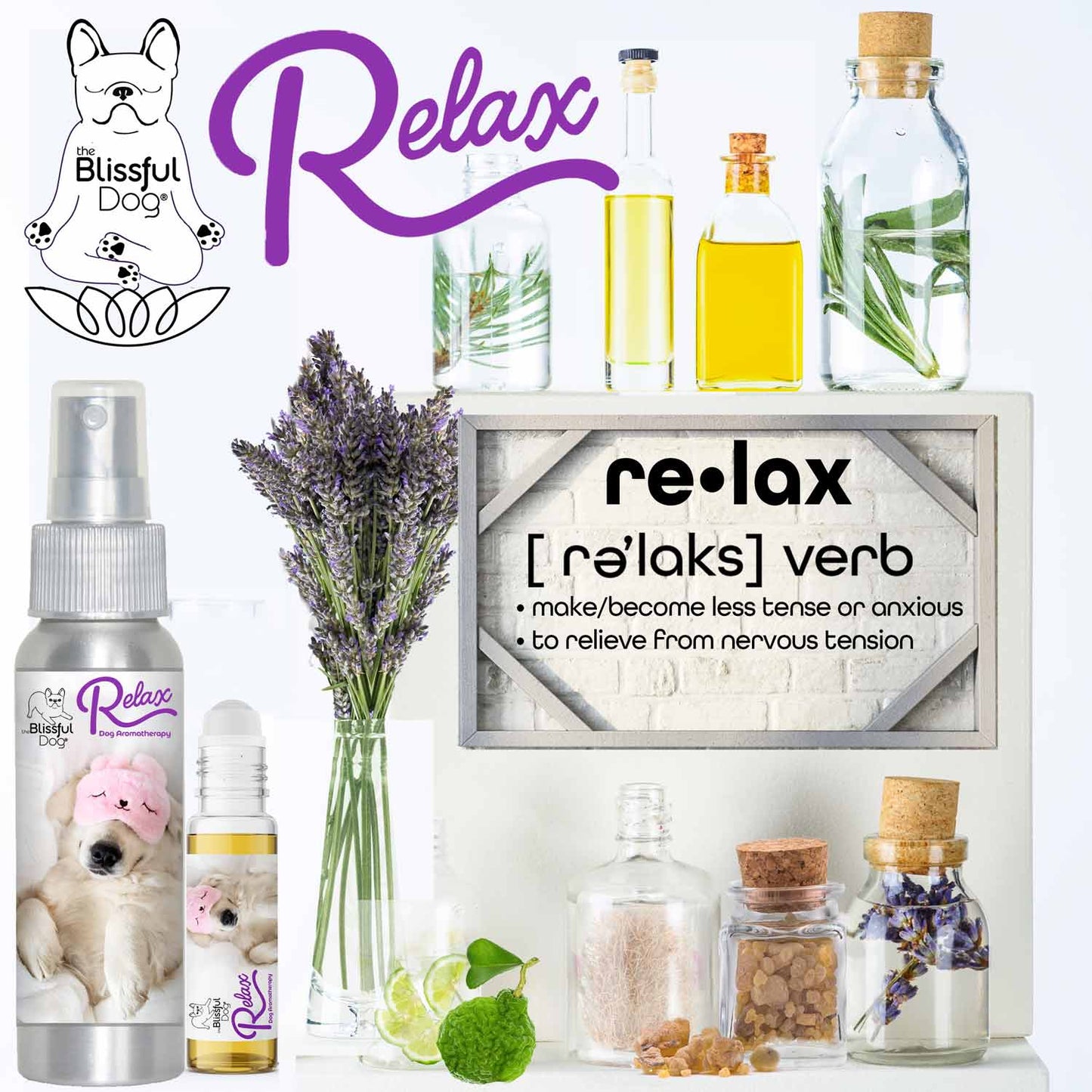3 Cute Puppies Relax Dog Aromatherapy DOG AROMATHERAPY The Blissful Dog