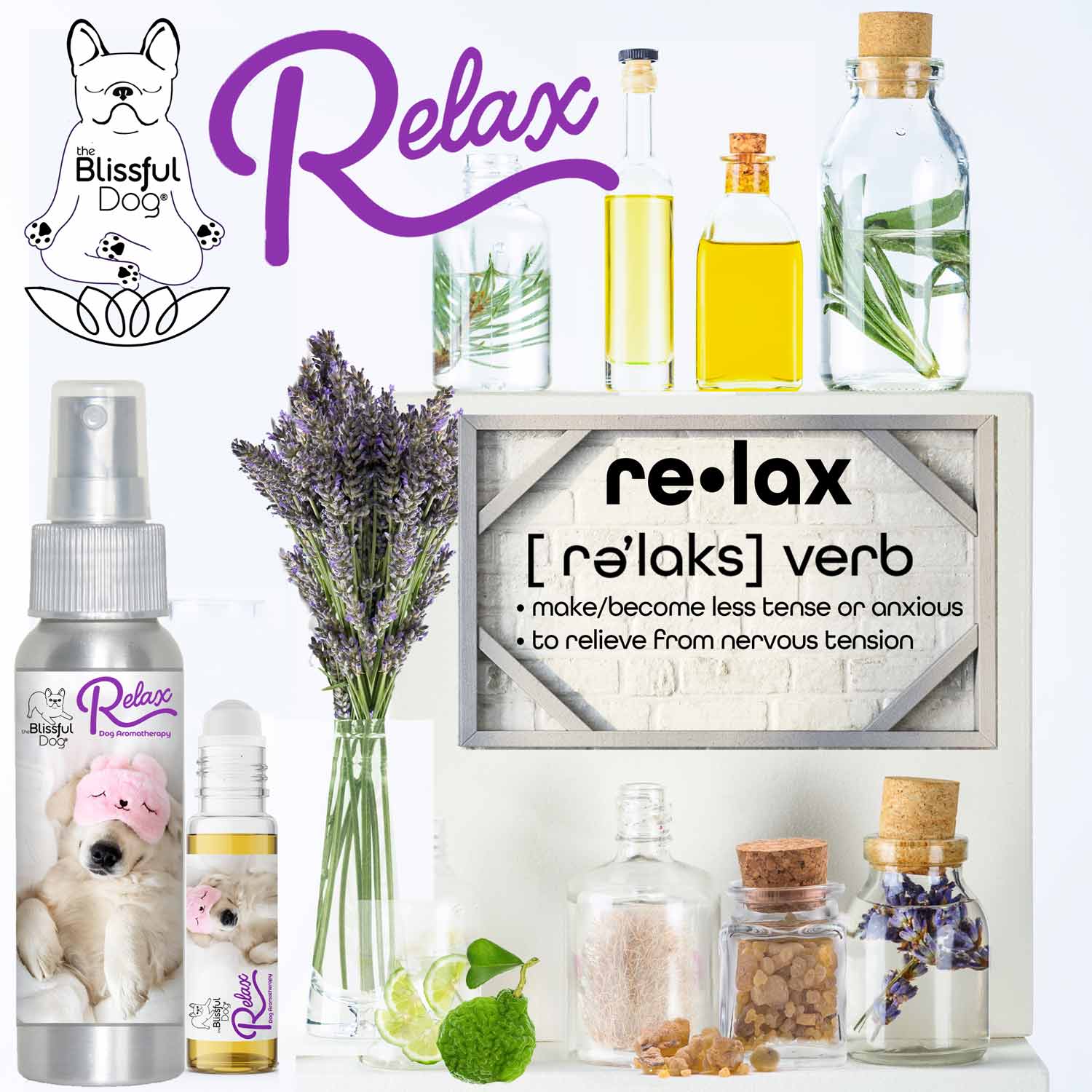 3 Cute Puppies Relax Dog Aromatherapy DOG AROMATHERAPY The Blissful Dog
