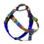 ROY G BIV Freedom No-Pull Dog Harness – EarthStyle 2 Hounds Design