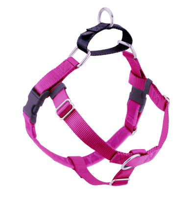 Raspberry Freedom No-Pull Dog Harness Freedom Harness 2 Hounds Design