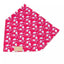 Red Mountain Syrah Dog Bandana & Matching Keychain bandana Aria the Fox