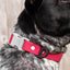 Red Mountain Syrah Waterproof Dog Collar Collar Aria the Fox