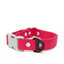Red Mountain Syrah Waterproof Dog Collar Fuchsia Gray Collar Aria the Fox