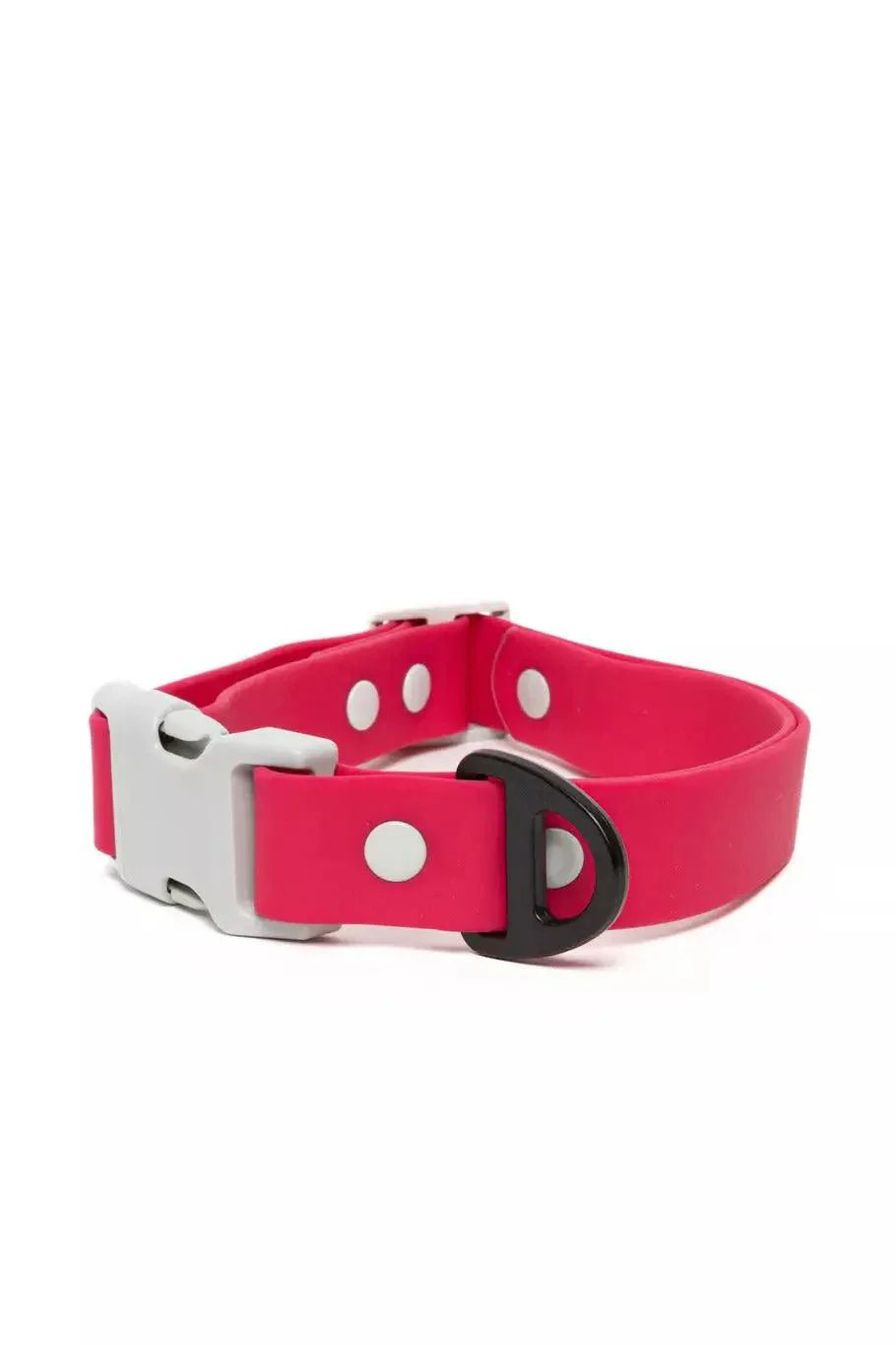 Red Mountain Syrah Waterproof Dog Collar Fuchsia Gray Collar Aria the Fox