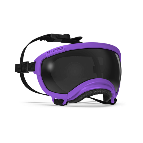 Rex Specs - Goggles for Dogs - V2 Purple Dog Eye Protection Rex Specs