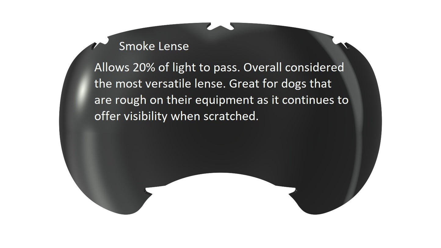 V2 Replacement Lenses - Rex Specs Smoke (20%) Rex Specs Replacement Lens Rex Specs