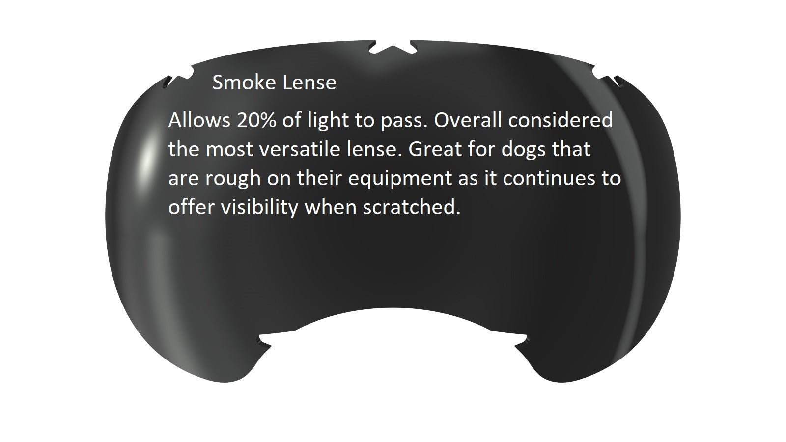 V2 Replacement Lenses - Rex Specs Smoke (20%) Rex Specs Replacement Lens Rex Specs