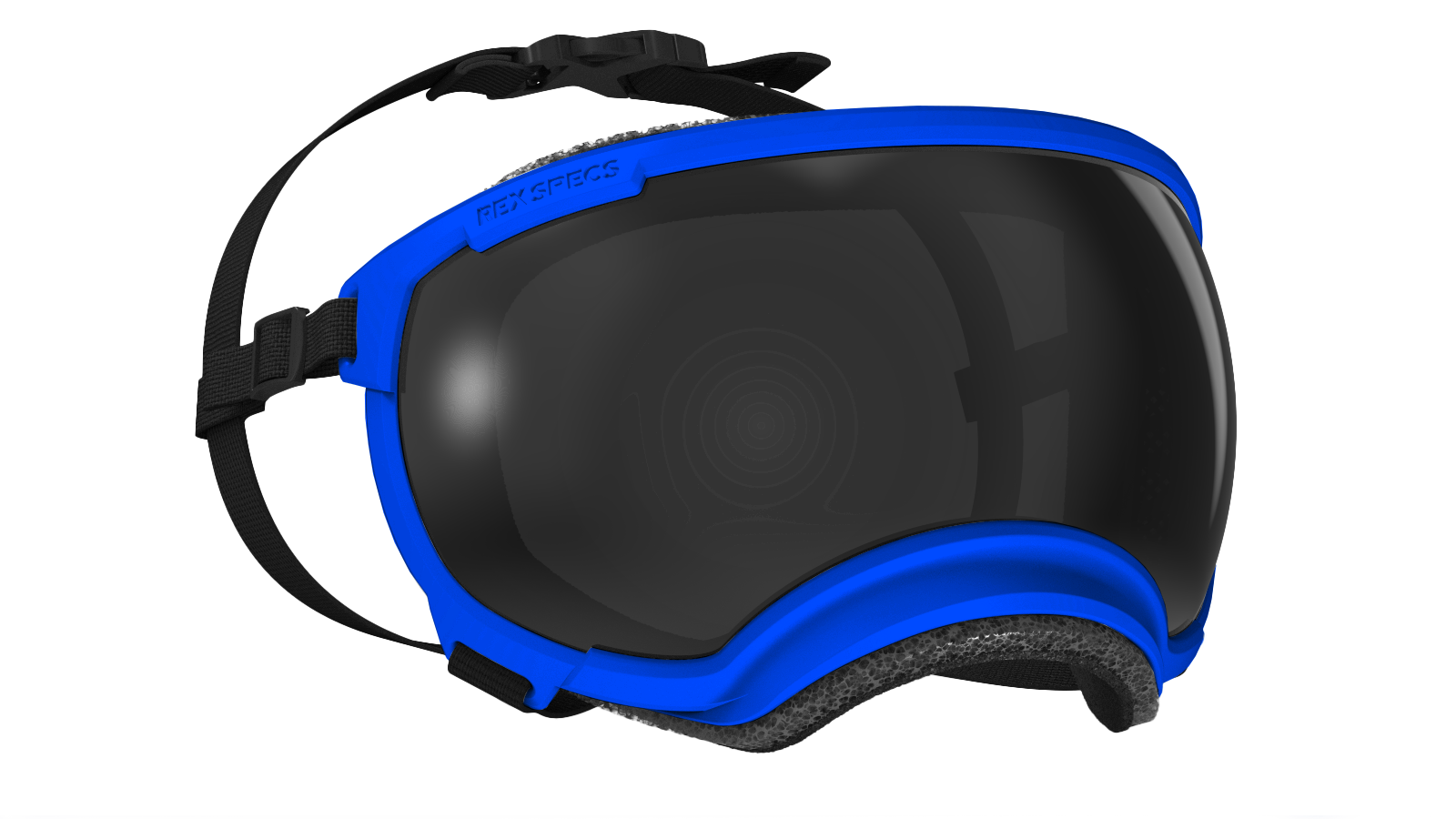 Rex Specs - Goggles for Dogs - V2 Balkan Blue Dog Eye Protection Rex Specs