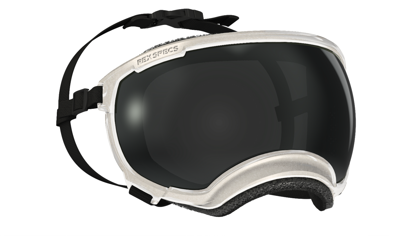 Rex Specs - Goggles for Dogs - V2 Dog Eye Protection Rex Specs