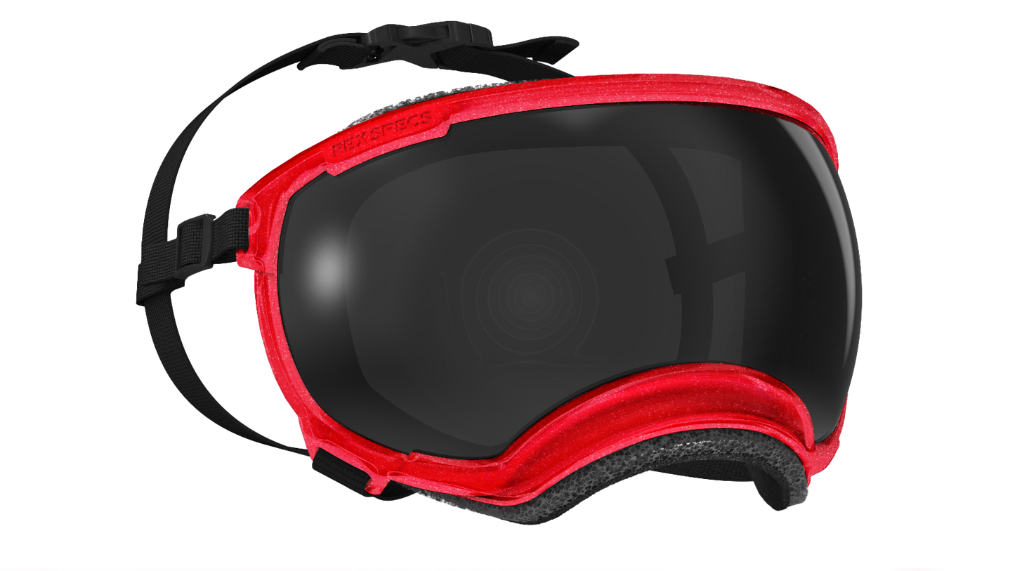 Rex Specs - Goggles for Dogs - V2 Dog Eye Protection Rex Specs
