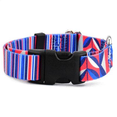 Rocky Dog Collar – EarthStyle 2 Hounds Design