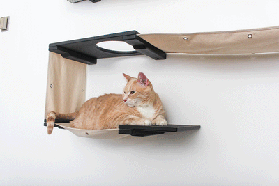 The Roman - A Wall Mounted Cat Scratcher Tree Cat Condo Catastrophic Creations
