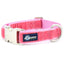 Rose Pink Velvet Essential Dog Collar 1 inch wide 2 Hounds Design