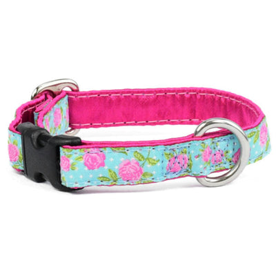 5/8″ Rosy Dots Aqua Dog Collar 2 Hounds Design