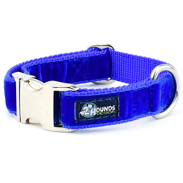 Royal Blue Velvet Essential Dog Collar 1 inch wide 2 Hounds Design