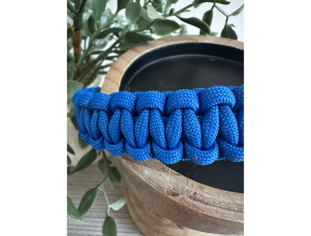 Cobra Braid in Royal Blue - Handmade Dog Collar Handmade Braided Collars Pawsh Pup Co.