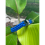 Cobra Braid in Royal Blue - Handmade Dog Collar Handmade Braided Collars Pawsh Pup Co.
