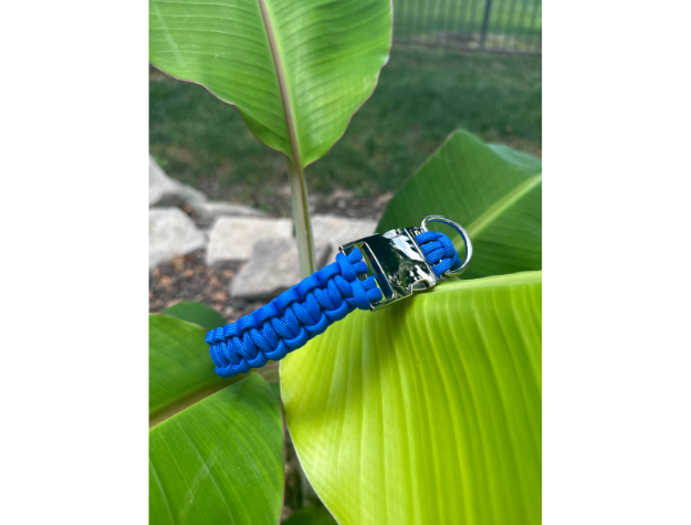 Cobra Braid in Royal Blue - Handmade Dog Collar Handmade Braided Collars Pawsh Pup Co.