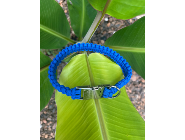 Cobra Braid in Royal Blue - Handmade Dog Collar Handmade Braided Collars Pawsh Pup Co.