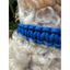 Cobra Braid in Royal Blue - Handmade Dog Collar Handmade Braided Collars Pawsh Pup Co.