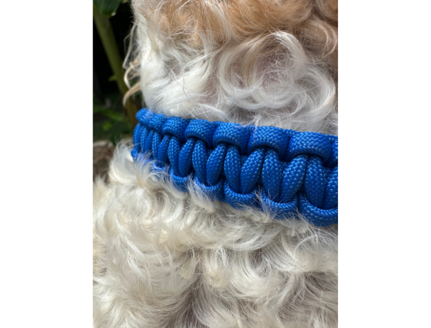 Cobra Braid in Royal Blue - Handmade Dog Collar Handmade Braided Collars Pawsh Pup Co.