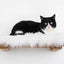 The Cat Nest Bed Cat shelves/bed Catastrophic Creations